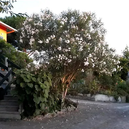 Maison d'hôtes Casa Gwendoline - / / Al - Caminho Da Costa *