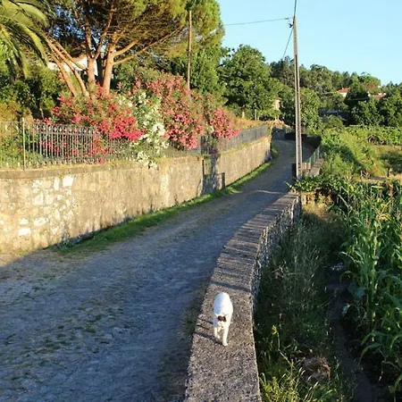 Casa Gwendoline - / / Al - Caminho Da Costa Penzion *