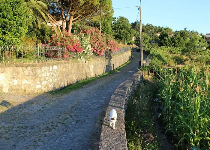 Casa Gwendoline - / / Al - Caminho Da Costa Gasthof *